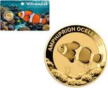 Mints Coins - CLOWNFISH 1/1000 Oz Gold Coin 3000 Francs Chad 2024