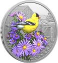 Mints Coins - AMERICAN GOLDFINCH Colorful Birds 1 Oz Silver Coin 20$ Canada 2024