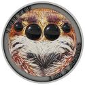 Mints Coins - I AM A JUMPER Wild Afrika Spider Silver Coin 1$ Niue 2022