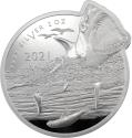 Mints Coins - GREAT WHITE SHARK Ocean Predators 2 Oz Silver Coin 5$ Solomon Islands 2021