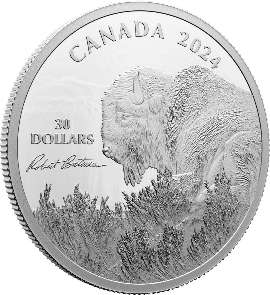 BISON Weather Watch Silver Coin 30$ Canada 2024 | Mints