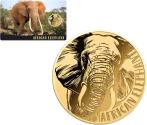 Mints Coins - AFRICAN ELEPHANT 1/1000 Oz Gold Coin 3000 Francs Chad 2024