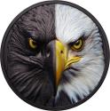 Mints Coins - BALD EAGLE Day and Night 3 Oz Silver Coin 20$ Palau 2024