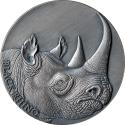 Mints Coins - BLACK RHINO Expressions of Wildlife 2 Oz Silver Coin 2000 Francs Cameroon 2023
