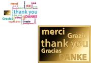Mints Coins - THANK YOU 1/1000 Oz Gold Coin 3000 Francs Chad 2025