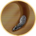 Mints Coins - ZEBRA Camouflage of Nature Gilded 5 Oz Silver Coin 20$ Palau 2023