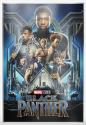 Mints Coins - BLACK PANTHER Infinity Saga Silver Foil 2$ Niue 2025
