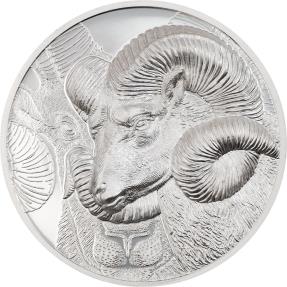 MAGNIFICENT ARGALI Wild Mongolia Ram 1 Oz Silver Coin 500 Togrog Mongolia 2022