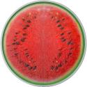 Mints Coins - WATERMELON 1 Oz Silver Coin 2$ Niue 2026