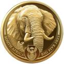 Mints Coins - ELEPHANT Big Five II 1 Oz Gold Coin 50 Rand South Africa 2021