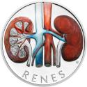 Mints Coins - KIDNEYS Human Body 1 Oz Silver Coin 1$ Niue 2025