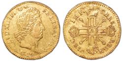 World Coins - Louis XIV Gold - Louis d'or aux 8 L et aux insignes - Paris - Hoard - Treasure of Valenciennes