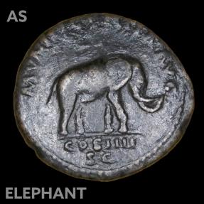 Ancient Coins - ANTONINUS PIUS (138-161 AD) AS - nice ELEPHANT-reverse - advertising and propaganda for the popular games in Rome 148-149 AD - VF