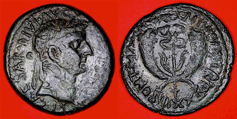 Ancient Coins - TIBERIUS (14-37 AD) - AE 29 dupondius - Commagene - Crossed Cornucopia and Winged Caduceus - VF - VERY RARE