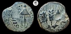 Ancient Coins - Agrippa I (37-43 CE). Judaea, Herodian Kings. AE Prutah.