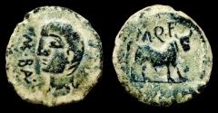 Ancient Coins - IBERIA, Kastilo. AE Semis. Early 1st century BC. Beautiful Green Patina and Very Fine.