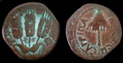 Ancient Coins - JUDAEA, Herodian Kings. Agrippa I. 37-44 CE. Æ Prutah. Year 6 (41-42 CE). aVF.