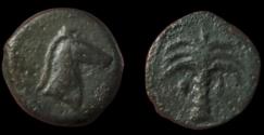 Ancient Coins - ZEUGITANA, Carthage. AE. circa 325-275 BC. VF.