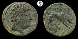 Ancient Coins - Ilerda, Spain, AE27 2nd or 1stc. BC. VF.