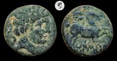 Ancient Coins - Spain, Bolskan (Huesca). AE, As. Unit. 150-100 BC. Nice green patina with deposits. Very Fine. Rare Obverse Bust.
