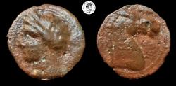 Ancient Coins - CARTHAGE. Circa 300-264 BC. Æ Shekel. Sardinia mint. Brown patina, worn. Fine.