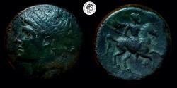 Ancient Coins - Hieron II. 274-216 BC. AE. Hemilitron Sicily, Syracuse. aVF.