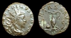 Ancient Coins - Tetricus II, 273 - 274 AD. AE Antoninianus, Colonia Agrippensis or Treveri Mint. VF, Rare!