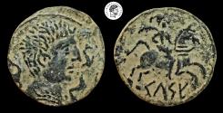Ancient Coins - CELSE. AE As Unit. 120-50 BC. (Velilla del Ebro, Zaragoza).Beautiful Brown Earthen Deposits. EF.