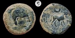 Ancient Coins - Celt-Iberian  SPAIN, Castulo. AE Semis Unit. 2nd century BC. Nice Earthen Patina. Very Fine & Scarce.
