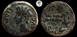 Ancient Coins - As of Colonia Patricia. Augustus period. AE Unit. 27 BC - 14 AD. Nice beautiful Patina. Very Fine Choice.