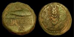 Ancient Coins - Ilipa, Iberian Celts, AE32. ca. 170 BC. Very Fine.