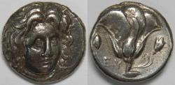 Ancient Coins - Islands off Caria Rhodos Rhodes AR Didrachm circa 305-275 BC