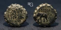 Ancient Coins - Seleukid Kings Antiochos VI, Dionysos 144-142/1 B.C. AE Serrate. mid 143-142 B.C! Antioch Mint.