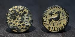 Ancient Coins - Syria. Roman Emperors. Augustus and Tiberius. Minted: Antioch, 11-17 AD.