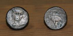 Ancient Coins - Seleucid Kingdom AE Cooper, Seleucus I Nicator, Elephant Type