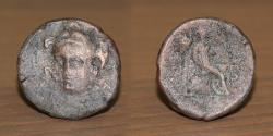 Ancient Coins - Seleukid Kingdom, Antiochus II Theos, 261-246 B.C. Bronze AE. Seleukeia on the Tigris mint
