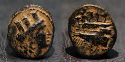 Ancient Coins - PHOENICIA. KARNE. 226-225 BC. Carne, Phoenicia. AE copper. Year 35. Rare.