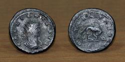 Ancient Coins - Roman Empire AE Follis, Gallienus Antoninianus (253-268 AD), Mint: Antioch.