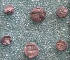 Ancient Coins - 3 early silver AR fractions Teos, Phokaia, Miletos