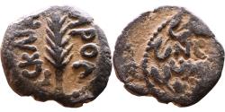 Ancient Coins - Judaean - Roman Procurators. Porcius Festus (59-62 AD) Æ Prutah / Palm Branch