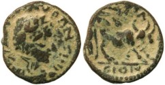 Ancient Coins - Elagabalus - Petra, Arabia AE18