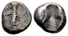 Ancient Coins - Ancient Persian silver coin - Time of Darios I to Xerxes II 485-420BC - Achaemenid Empire minted in Sardeis