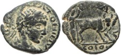 Ancient Coins - Bold Roman coin of Elagabalus from Petra, Arabia