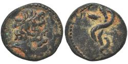 Ancient Coins - Ancient Greek coin minted in Seleukis and Pieria, Antioch - Asklepios and a coiled serpent