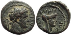 Ancient Coins - Titus as Caesar AE17 of Gadara, Decapolis. Year 137 = 73/4 AD.