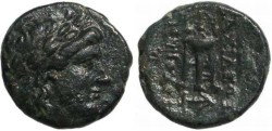 Ancient Coins - Seleucid Kingdom, Antiochos II - Sardes Mint
