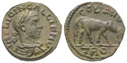 Ancient Coins - VF+++ Ancient Roman Provincial coin of the Emperor Gallienus minted in Alexandria, Troas
