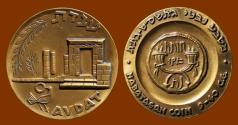 World Coins - State of Israel Medal celebrating Avdat. Temple and Nabataean Coin. Beautiful!
