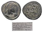 Ancient Coins - Special collection of Constantinian bronze coins: Constantine I. AD 307-337. Æ Follis 'Dafne Coins' w Heroic bust