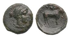 Ancient Coins - Greek coins: Lovely & rare Sicily Nakone bronze Æ Onkia, Late 5th century BC.